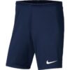 nike1