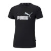 PE21 — puma — 587041-01 (1)