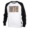 adidas-juventus-graphic-crew-sweat-m-gr2920-sweatshirt_45586-625x794_0