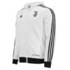 re_1623244447_juventus-3s-full-zip-hoody-white
