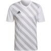 koszulka-messka-adidas-entrada-22-gfx-jsy-biala-hf0129-miniature