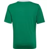 ADIDAS-ENTRADA22-JSK-DJEČJI-NOGOMETNI-DRES-2
