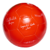 ZVIJEZDAA3 (1)-PhotoRoom.png-PhotoRoom