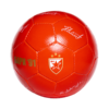 ZVIJEZDAAA3-PhotoRoom.png-PhotoRoom