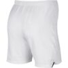 NIKE-NK-OLYMPICS-MEN-SHORTS-01