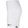NIKE-NK-OLYMPICS-MEN-SHORTS-02