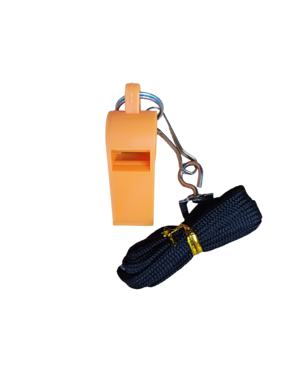 20240314_155423-Photoroom.png-Fotosoba