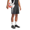 ADIDAS-TIRO24-TR-MOSKE-NOGOMETNE-KRATKE-HLACE-04-Photoroom.png-Fotosoba
