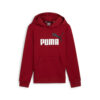 PUMA-ESS-BIG-LOGO-HOODIE-CHILDREN’S-HOODIE-JACKET-1 (1)