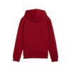 PUMA-ESS-BIG-LOGO-HOODIE-KIDS-HOODIE-HOODIE-2
