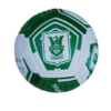 NK-OLIMPIJA-FOOTBALL-BALL-3