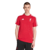 ADIDAS-LIVERPOOL-LFC-DNA-TEE-T-SHIRT-ADULT-2-Photoroom (1)