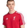 ADIDAS-LIVERPOOL-LFC-DNA-TEE-SHIRT-ADULT-4-Photoroom (1)