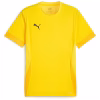 PUMA-TEAMGOAL-MATCHDAY-FOOTBALL-JERSEY-1