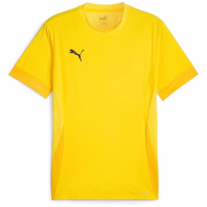 PUMA TEAMGOAL MATCHDAY- NOGOMETNI DRES