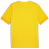PUMA-TEAMGOAL-MATCHDAY-FOOTBALL-JERSEY-2