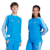 ADIDAS-REAL-MADRID-ICON-SWT-LONG-SHIRT-4-Photoroom (2) (1)
