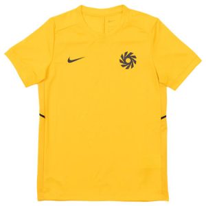 NIKE EH K NK DF ACD25 TOP- OTROŠKI NOGOMETNI DRES