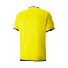 PUMA-TEAMLIGA-JERSEY-FOOTBALL-JERSEY-1
