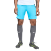 PUMA-TEAMLIGA-MUŠKE-NOGOMETNE-KRATKE HLAČE-2-Fotosoba