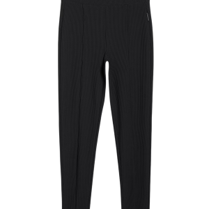 4F CAS F237- FEMALE SPIDERS