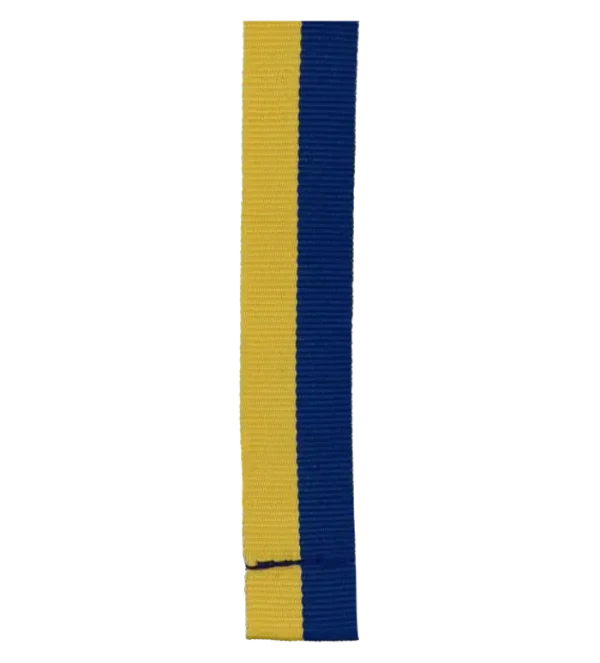COLLAR-STRAP-22mm-1