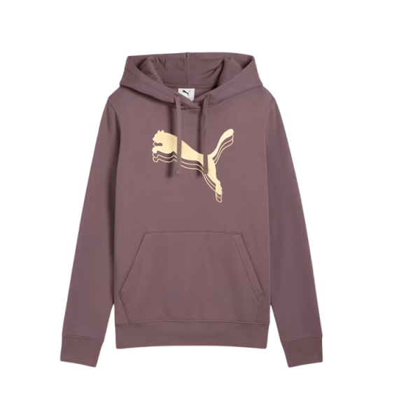 PUMAE-METALLIC-HOODIE-WOMEN’S-HOODIE-1-Photoroom (1)