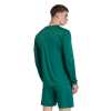 ADIDAS-ENTRADA26-NOGOMET-DRES-3-Foto soba (2) (1)