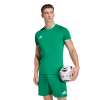 ADIDAS-ENTRADA26-NOGOMET-DRES-2-Foto soba (3) (1)