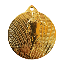 MEDALJA ZLATA NOGOMET