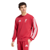 ADIDAS-LIVERPOOL-LFC-DNA-SWT-LONG-T-SHIRT-FOR-ADULTS-2-Photoroom (1)